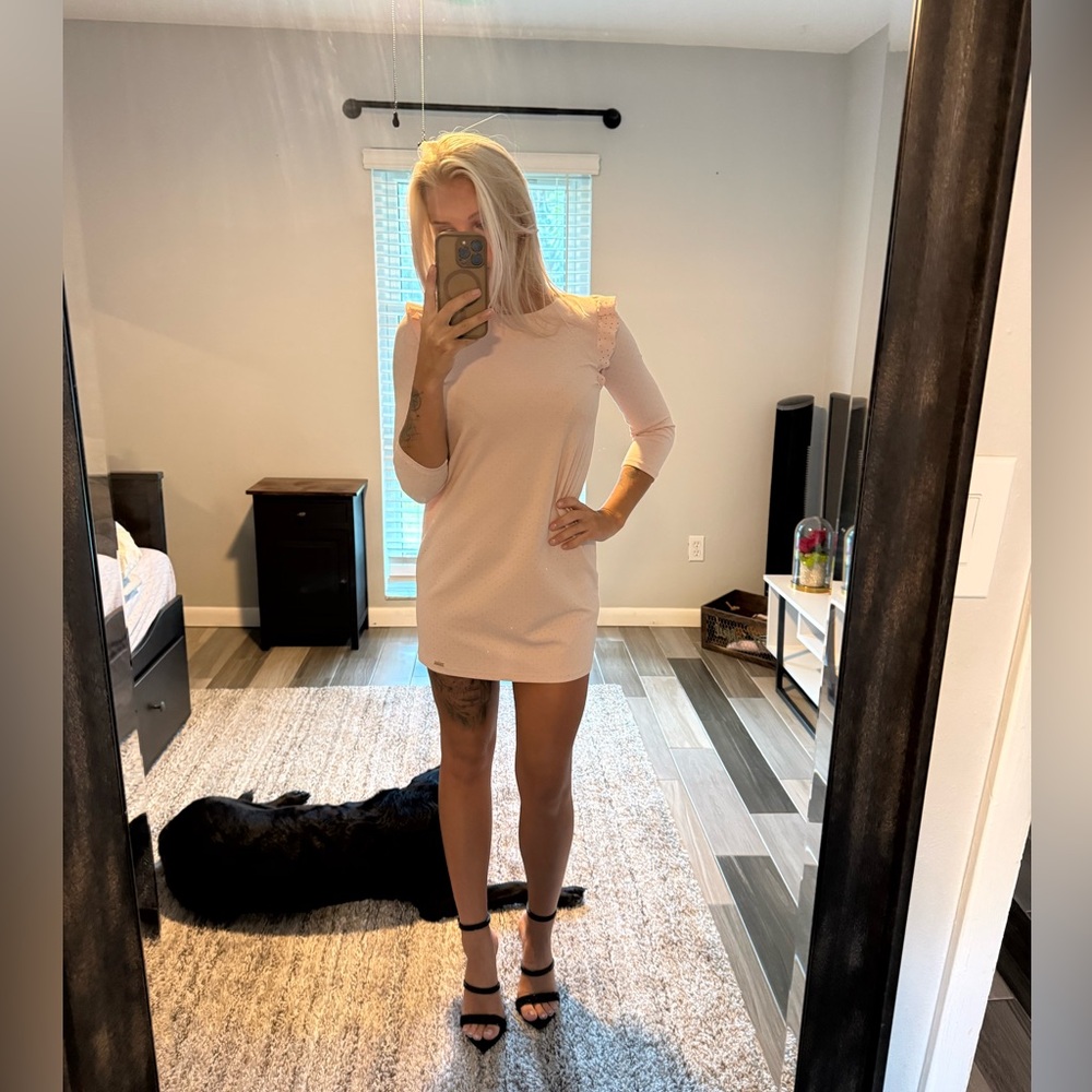 Chic Long Sleeve Pink Dress